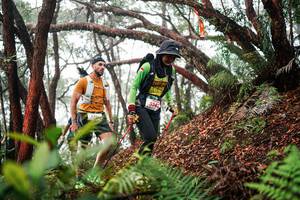 BIB: 
                            <button type="button" onclick="openModal(26298113)" class="btn btn-primary btn-sm float-right btn-popup" data-toggle="modal" data-target=".modal-high-quality">
                        <i class="fas fa-shopping-cart"></i> Add to Cart
                    </button>
                                            <button type="button" onclick="isThisMe(26298113, true)" class="btn btn-success btn-sm float-right btn-popup btn-isme hidden" data-toggle="tooltip" data-placement="bottom" title="นี่คือรูปของคุณใช่ไหม คลิกที่นี่เพื่อเอาเข้าอัลบั้ม">
                        <i class="fas fa-plus"></i> Add to album
                    </button>
                    <button type="button" onclick="isThisMe(26298113, false)" class="btn btn-warning btn-sm float-right btn-popup btn-isnotme hidden">
                        <i class="fas fa-ban"></i> Remove from album
                    </button>